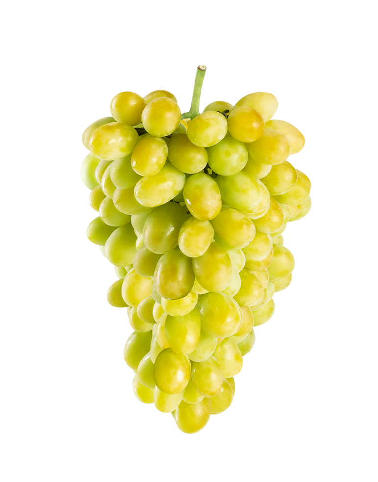 Group-1968_Green_Grapes_Cotton-Candy