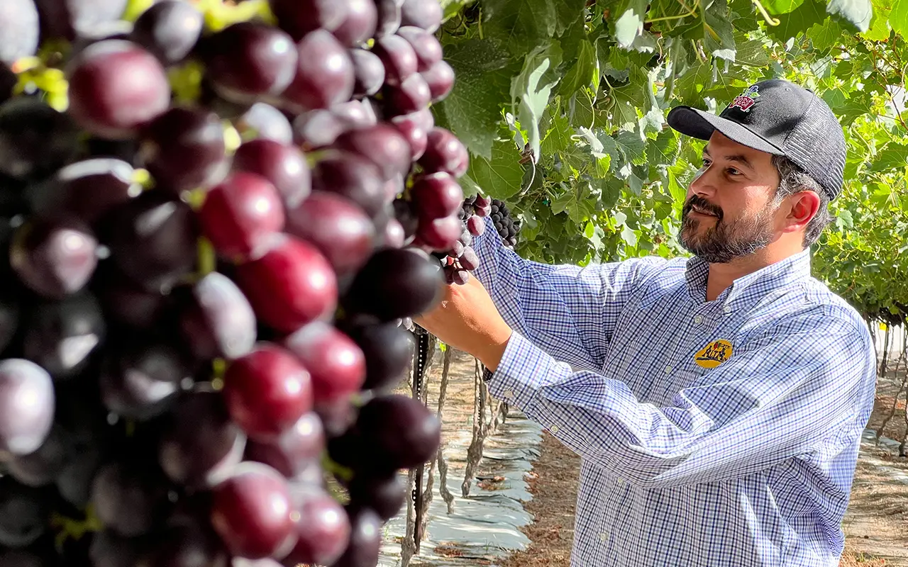 PRODUCT SPOTLIGHT: JELLYBERRIES - Divine Flavor