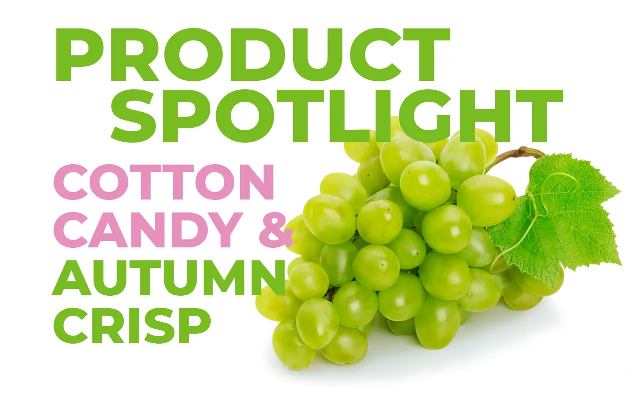 PRODUCT SPOTLIGHT: ORGANIC GREEN TABLE GRAPES - Divine Flavor