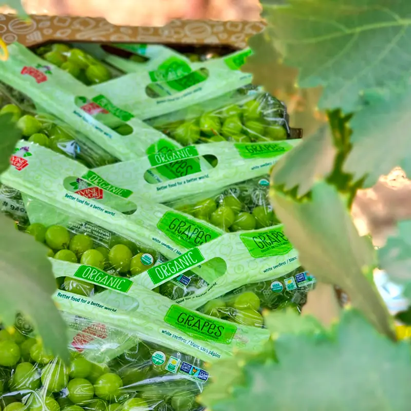 Product Spotlight: Table Grapes, Cucumbers, Squash and Zucchini
