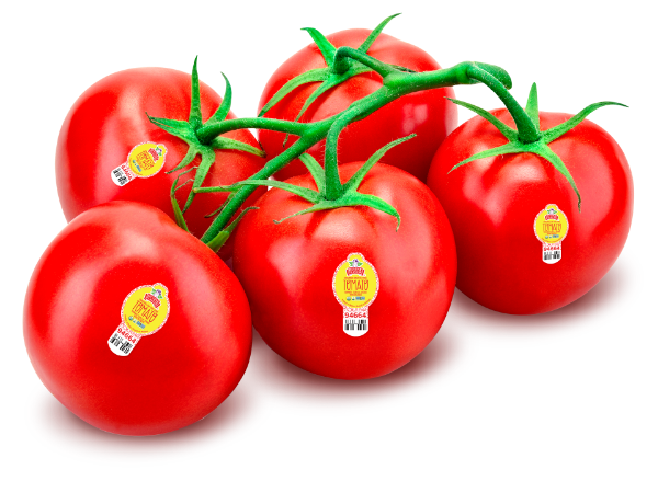 Tomato On The Vine - Divine Flavor