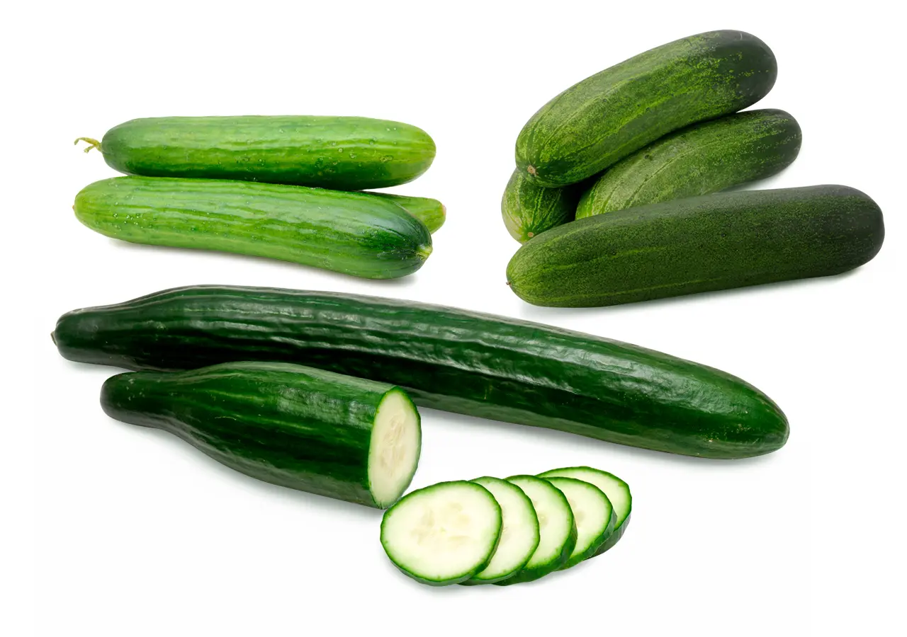 【Cucumber様】専用 Baby Cucumber Seeds – Park Seed