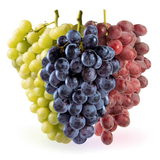 https://divineflavor.com/wp-content/uploads/2023/12/Divine-Flavor-Table-Grapes.png.webp