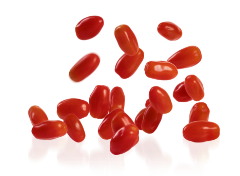 Experiencie the Flavor - Tomatoes - Divine Flavor