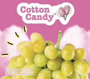 Cotton candy Contest