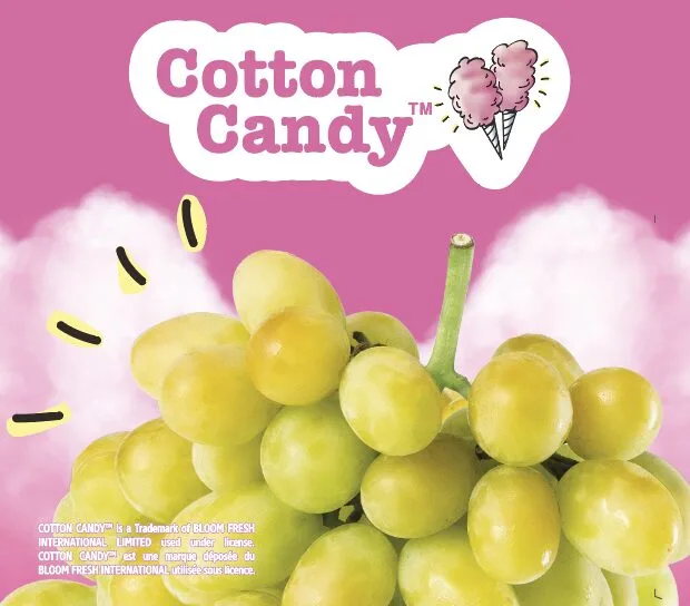 Cotton candy Contest