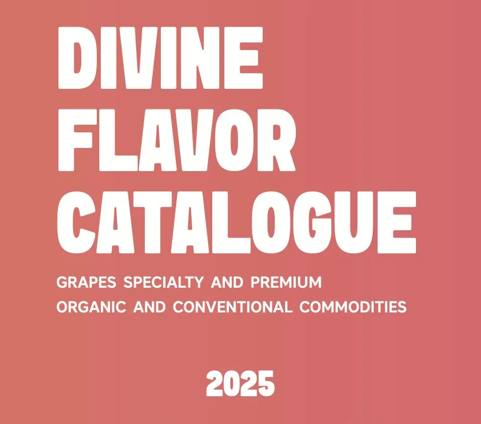 Catalogue